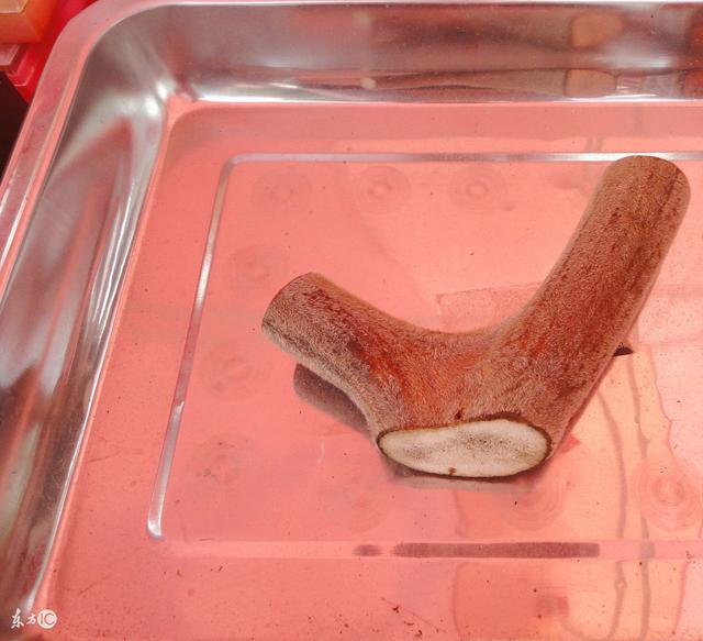 鹿茸的9大功效,以及5种食用方法