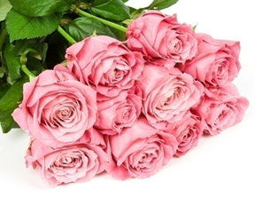 粉色玫瑰花代表什么意思?