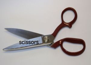 scissors用拼音怎么读?