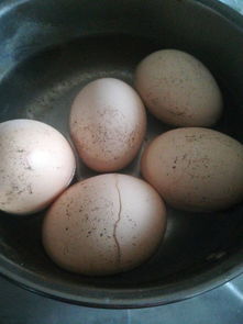 煮熟的鸡蛋有几个黑色斑点能吃吗?