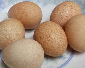 鸡蛋壳上有小黑点还能吃吗?