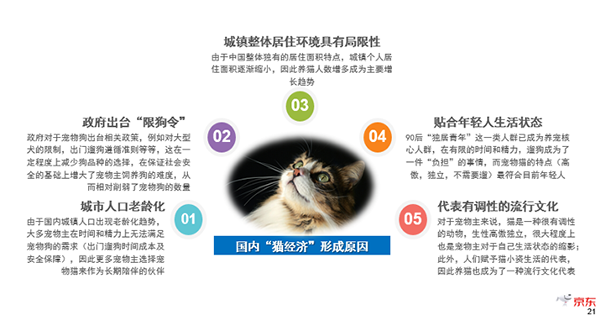 猫星人躺赢 京东超市《2019中国宠物消费趋势报告》剖析猫市场