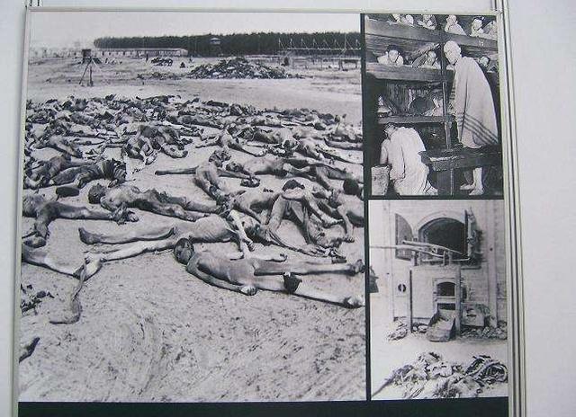 希特勒为什么要杀犹太人，犹太人到底在德国干了什么？