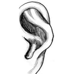 什么是“反骨耳” 长有此耳的人命运怎样？