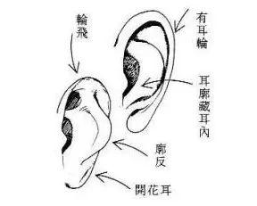 什么是“反骨耳” 长有此耳的人命运怎样？