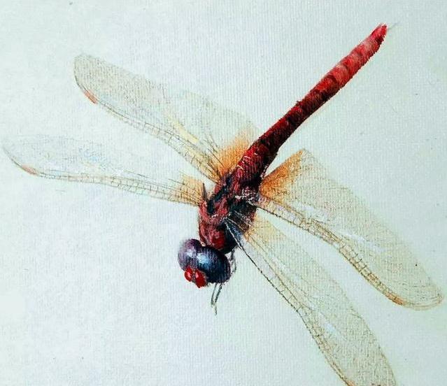 擅长画虾的齐白石，用红蜻蜓的尾巴，战胜了画技堪比照相机的冷军