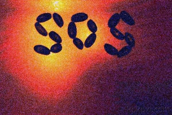 “SOS”这三个字母究竟是什么意思？永不消失的SOS