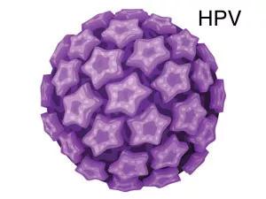 HPV病毒阳性是什么意思？了解宫颈癌的一级预防