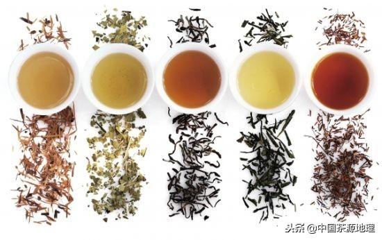 普洱茶到底属于六大茶中的那种茶