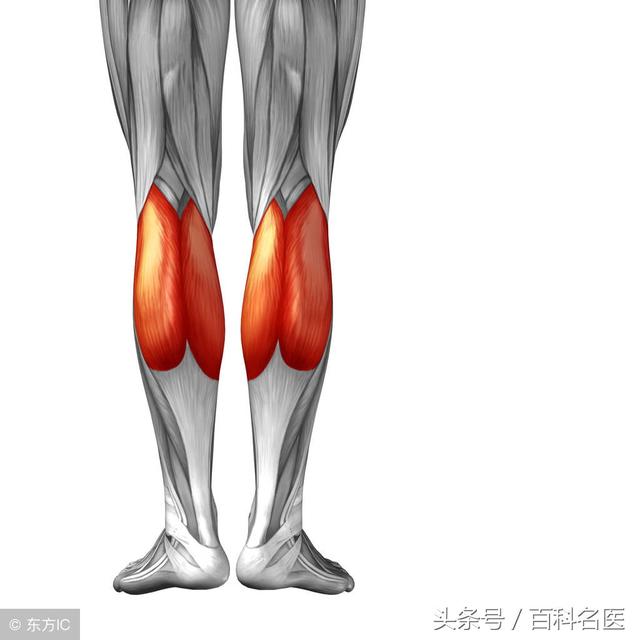 粗壮的小腿肌肉很难看，怎么快速减掉小腿上的肌肉？