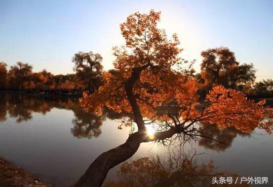 冬天国内去哪里旅游比较好？最值得旅行的目的地推荐