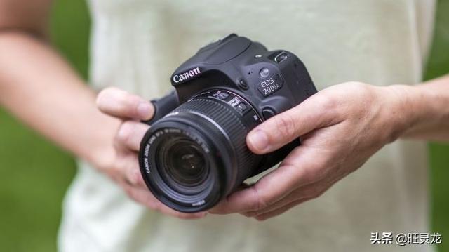 2019入门级单反相机哪些值得推荐呢?10款廉价相机你认为如何?