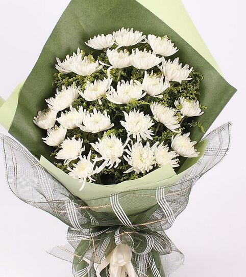 清明节上坟什么颜色的菊花最好 白色菊花代表哀悼的意思