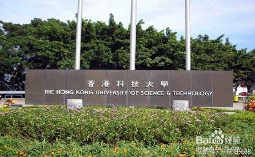 香港各大学的排名顺序
