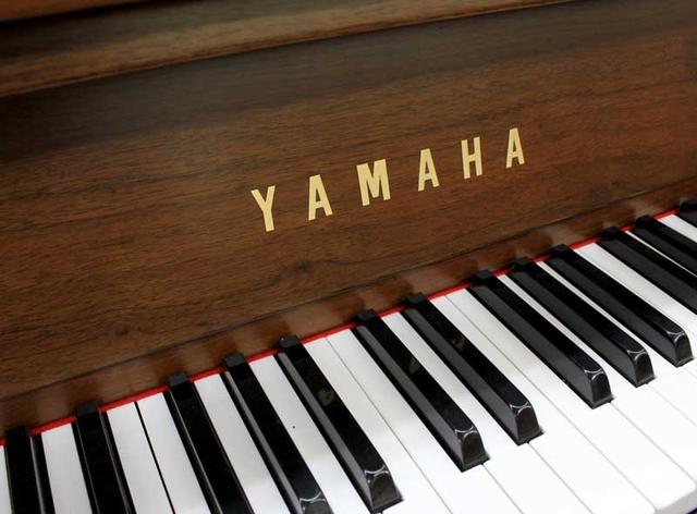 钢琴及电钢琴品牌有哪些？买钢琴还是电钢琴？如何挑选合适的琴？