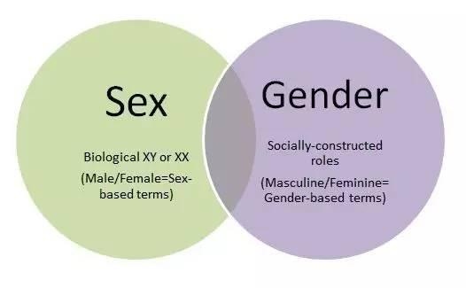 gender和sex有什么区别？