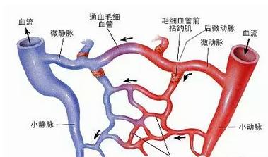 坐在家里就能汗蒸的天气还要去汗蒸馆？哪些人不适宜汗蒸？