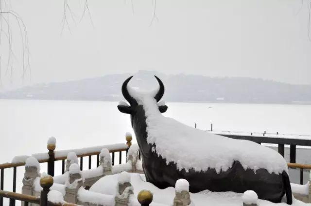 北京终于降下入冬以来第一场雪！ 如果下大雪，这里一定会最美！